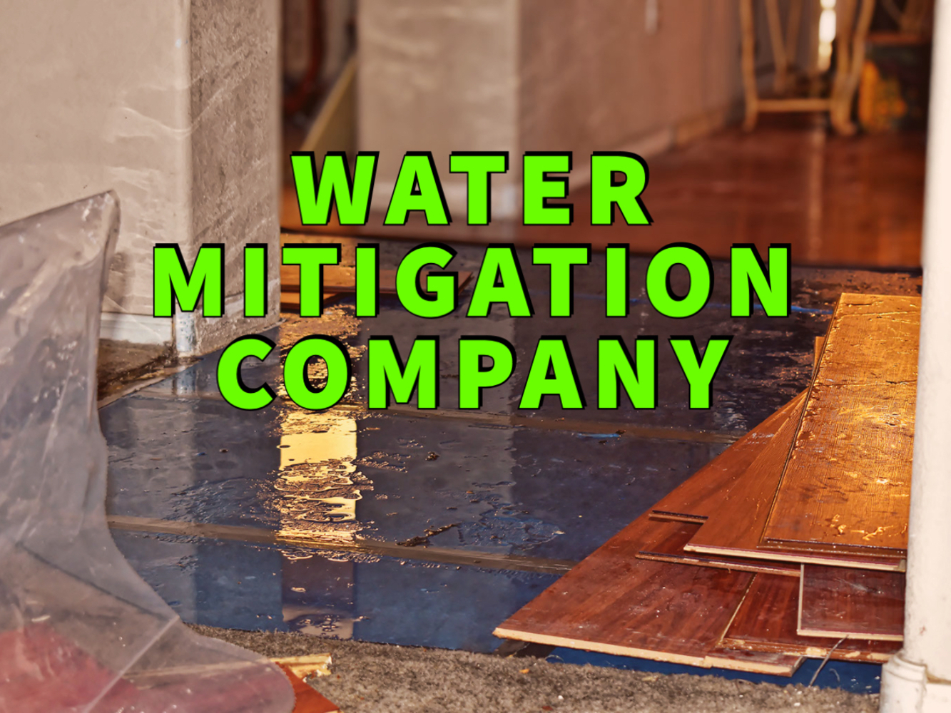 Inside a Libby Water Mitigation Company: How the Process Really Works